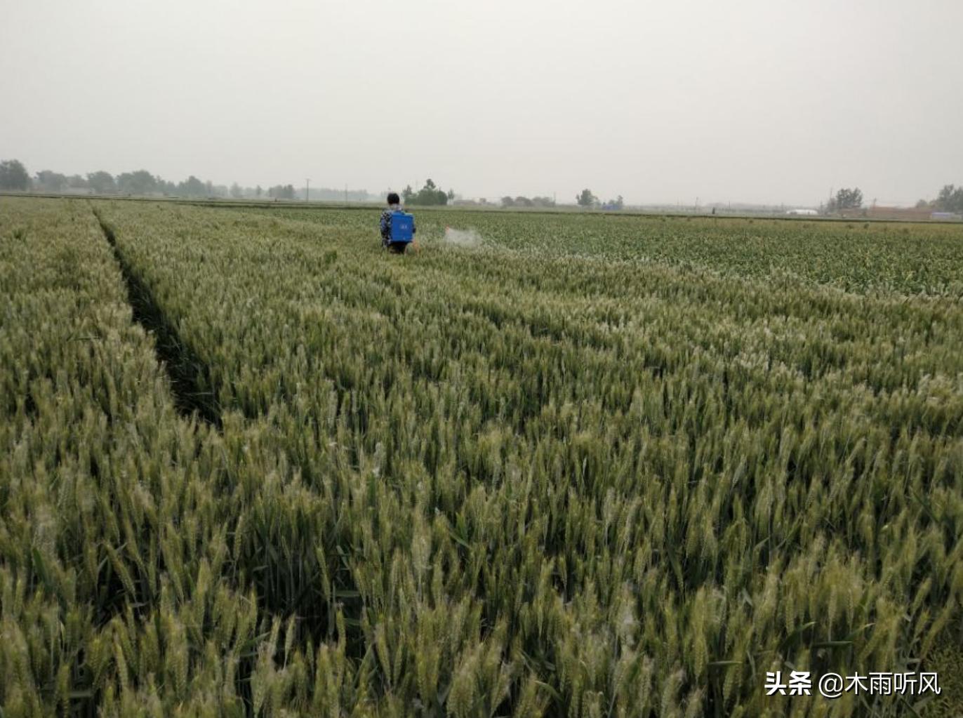 禾工新能源，引领新能源革命，塑造未来绿色生态，禾工新能源，引领革命，塑造绿色未来