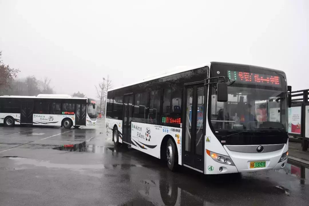 小型车推荐新能源汽车，精选小型新能源汽车推荐，绿色出行新选择