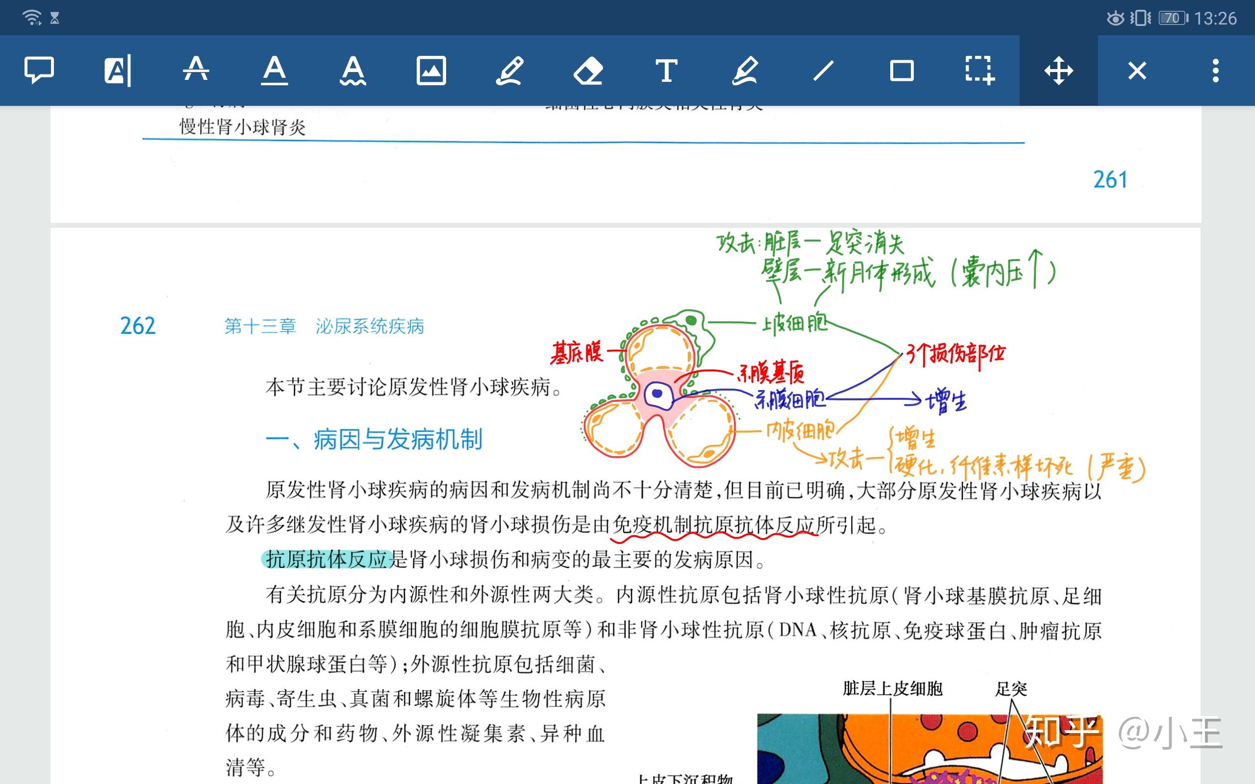 老版跑狗图新版更新，老版跑狗图新版更新概览