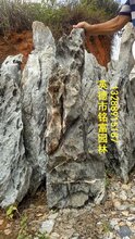 绵阳砂石厂价格表最新，全面了解砂石材料及价格走势，绵阳砂石厂最新价格表，全面解析砂石材料及其价格走势